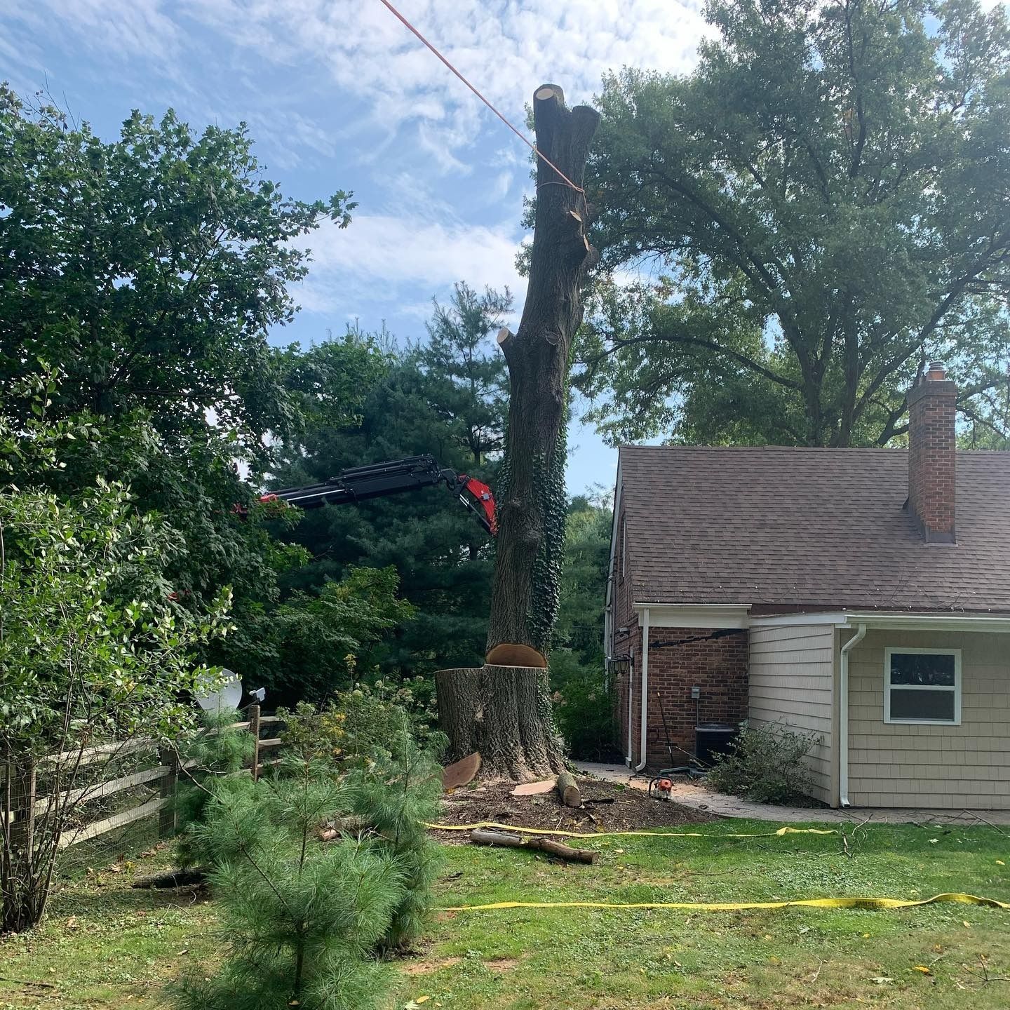 A large, topped tree stands in a yard next to a brick and siding house, with a rope attached to the trunk for removal.