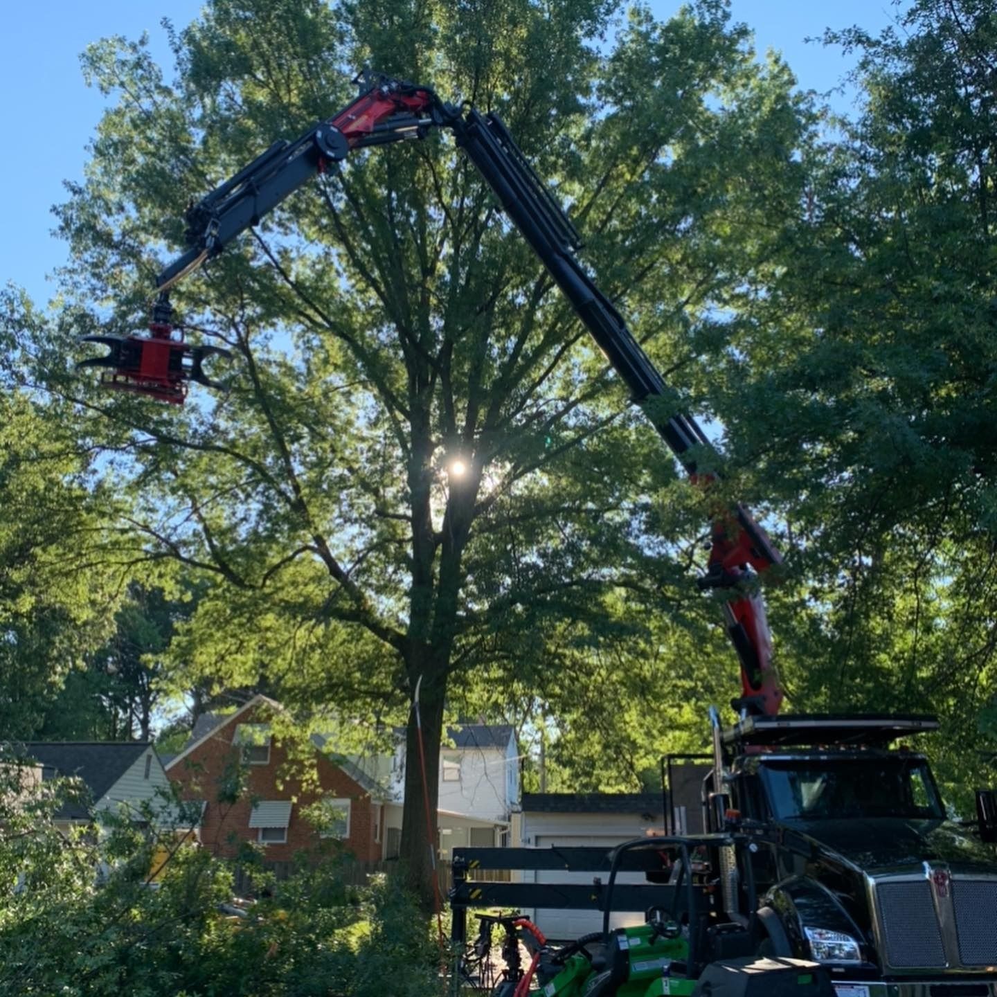 A red hydraulic crane arm with a grapple attachment extends upward into a large green tree in a residential yard.