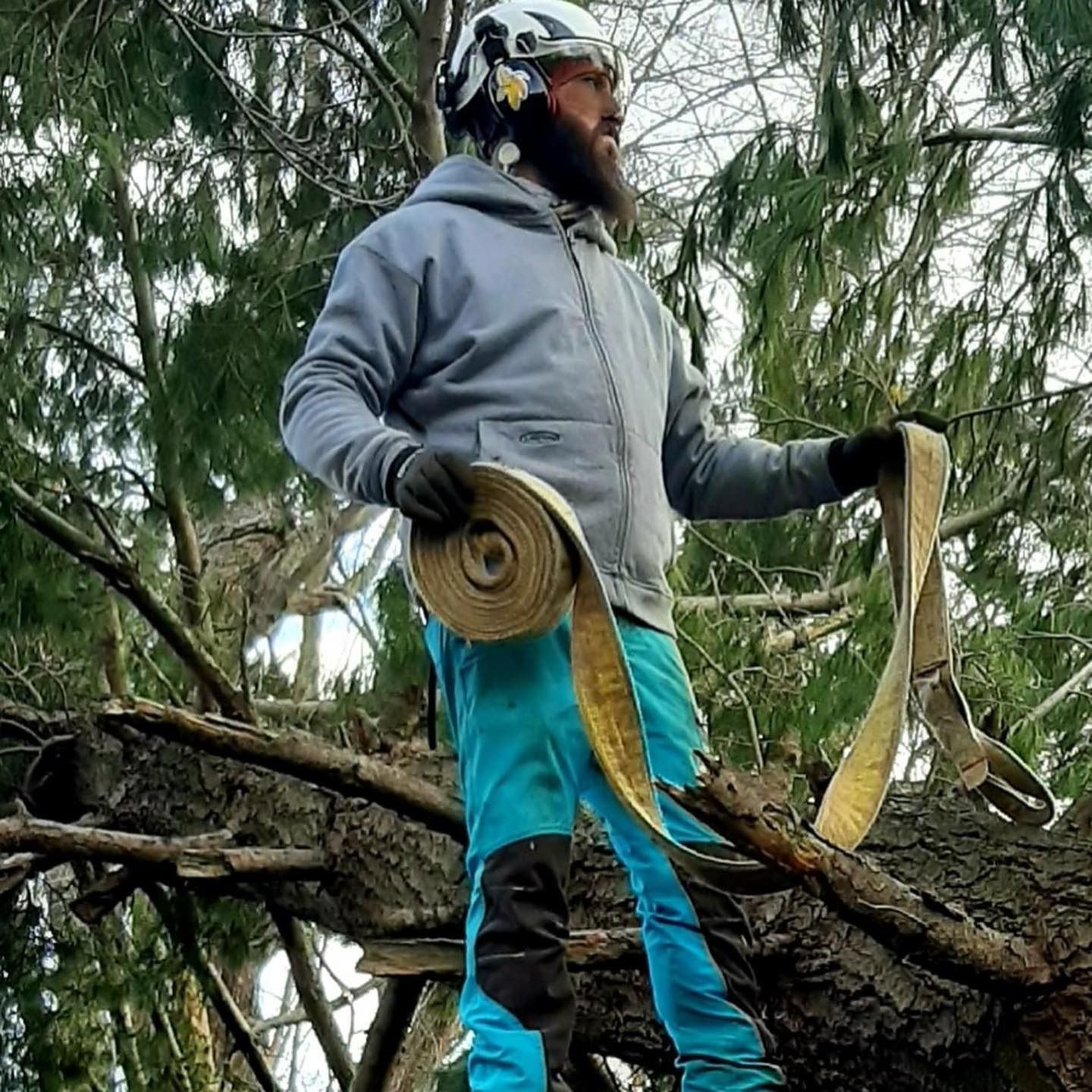A bearded climber in a helmet, grey hoodie, and blue pants stands in a tree, holding a coiled yellow rigging sling.