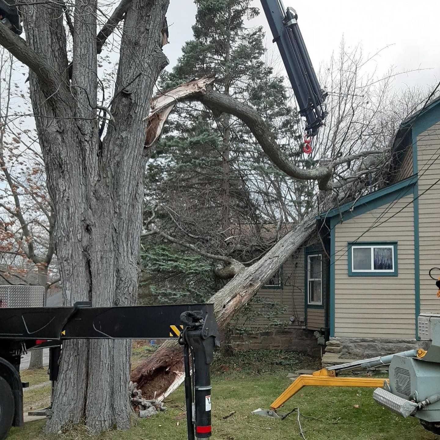 A crane lifts a large tree limb that has fallen onto the roof of a house.