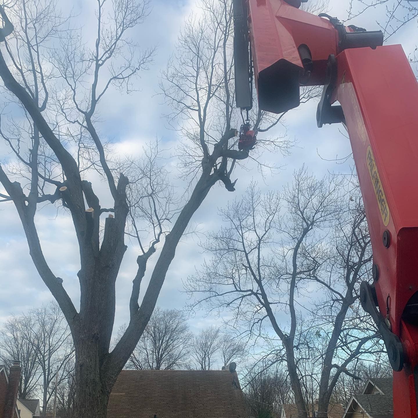 A red boom crane arm is positioned in front of a tree to assist with tree trimming or removal against a cloudy sky.