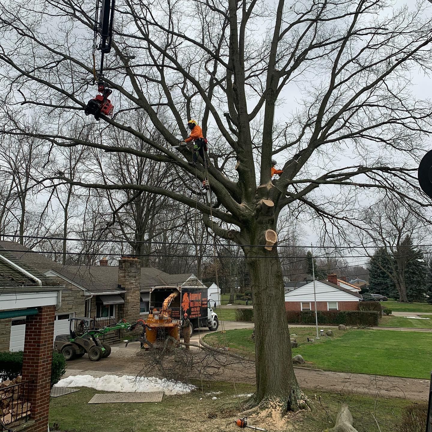 Arborists use a crane to prune a large tree in a residential yard, with a wood chipper parked on a driveway nearby.