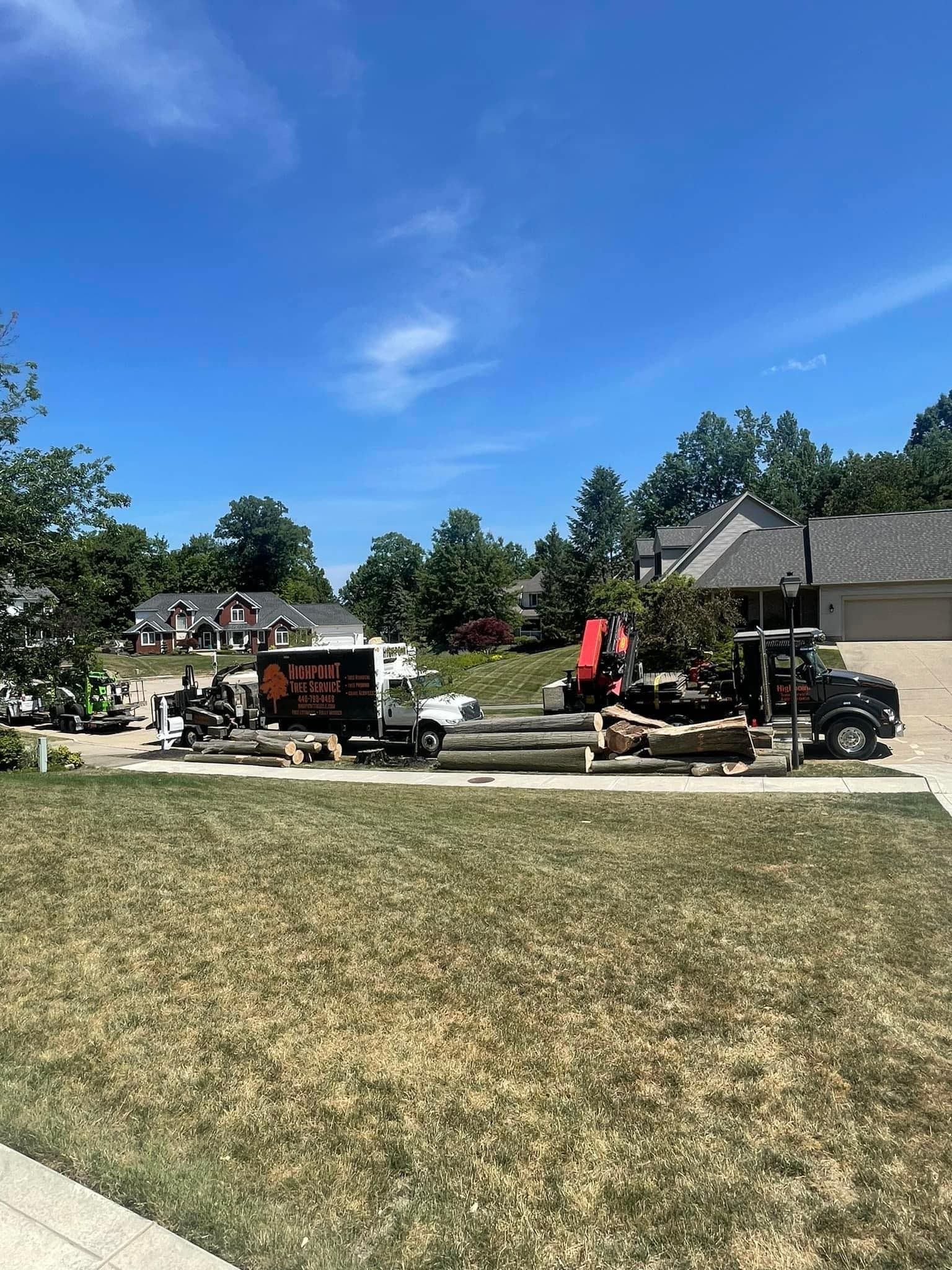 A tree service truck and equipment are parked on a residential driveway in front of a house on a sunny day.