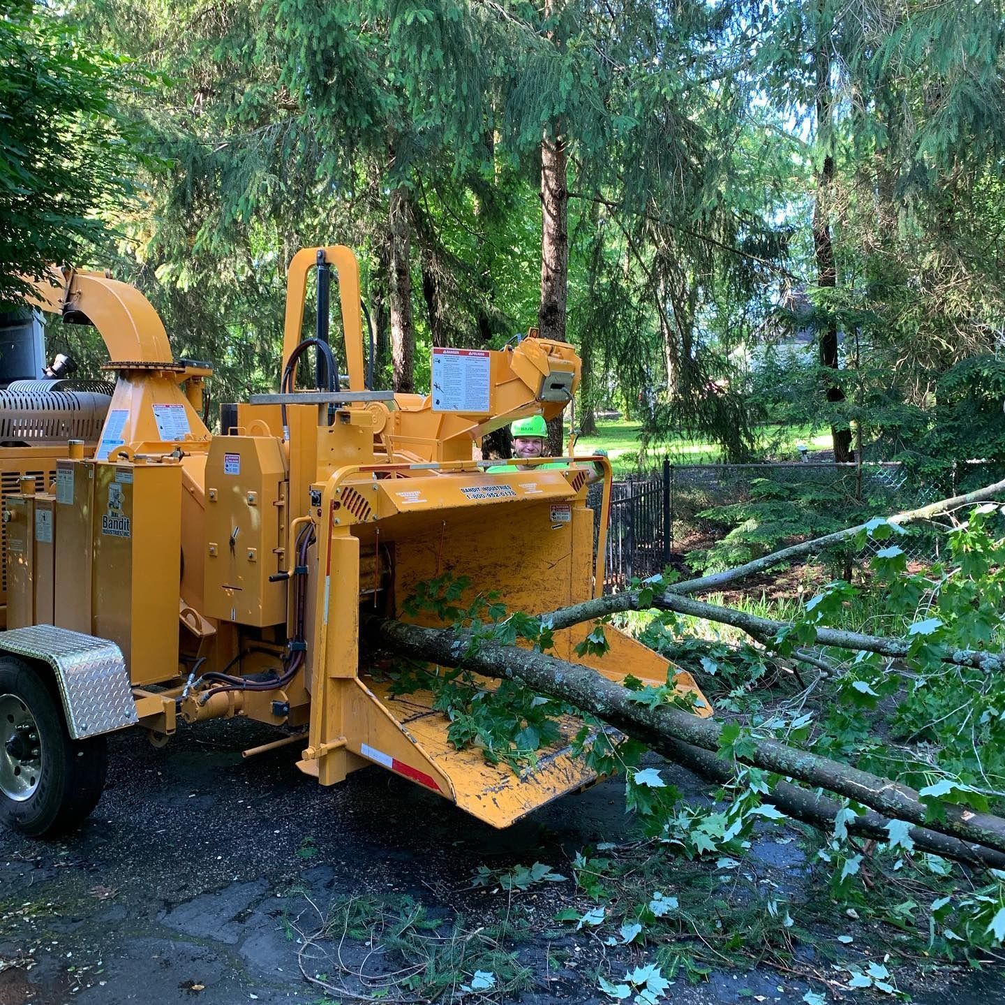 A yellow wood chipper sitting in a driveway with tree branches being fed into its intake chute.