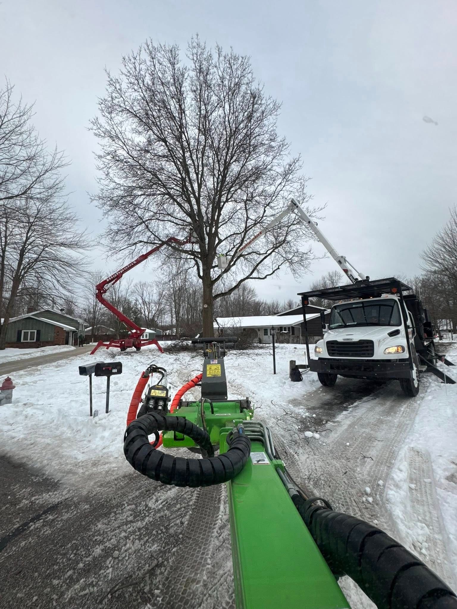 A crane arm extends toward a tall tree in a snowy yard, with a white utility truck and another crane nearby.