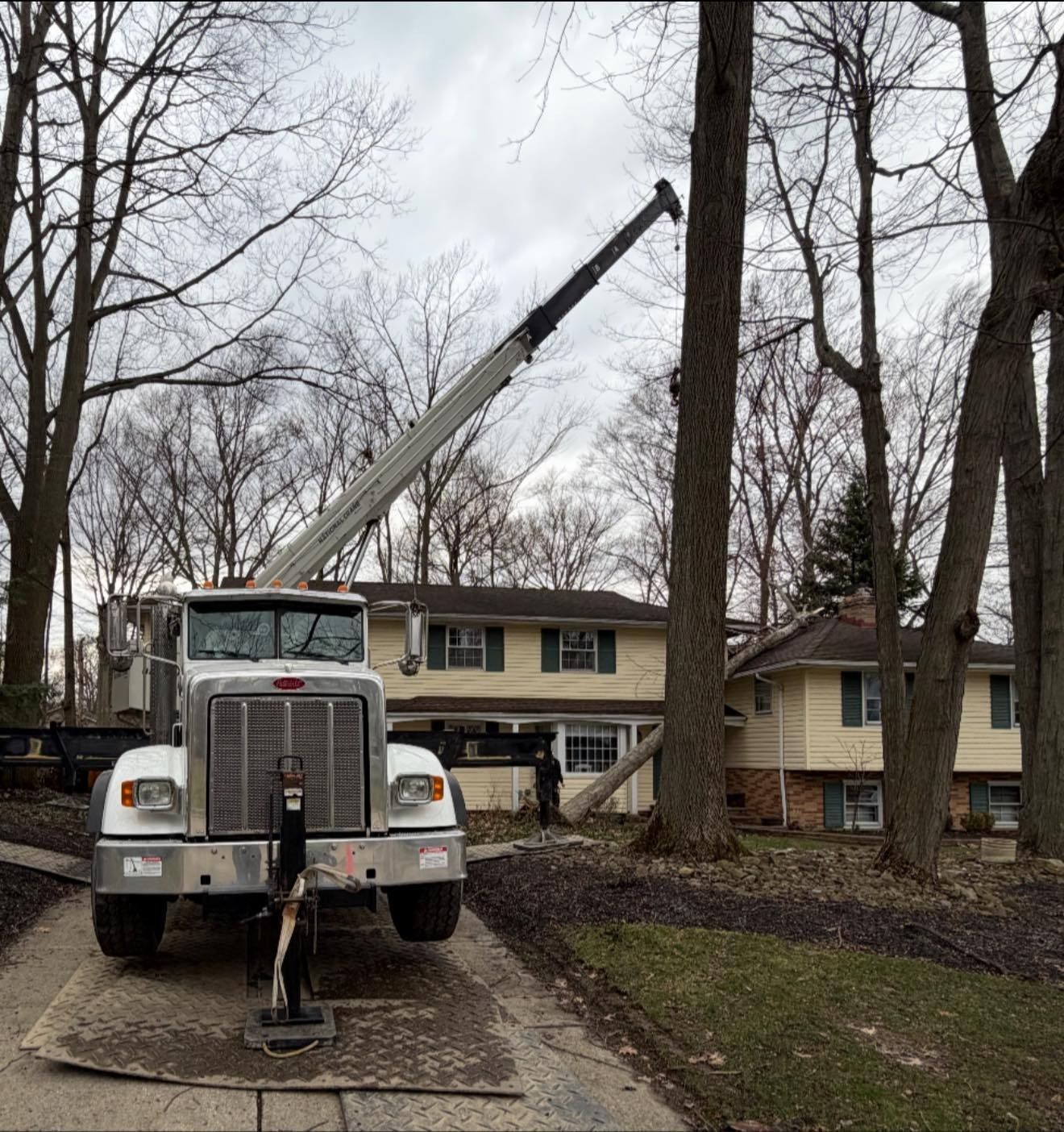 A white crane truck parked on a driveway next to a house, with its boom extended toward a tall tree during tree removal.