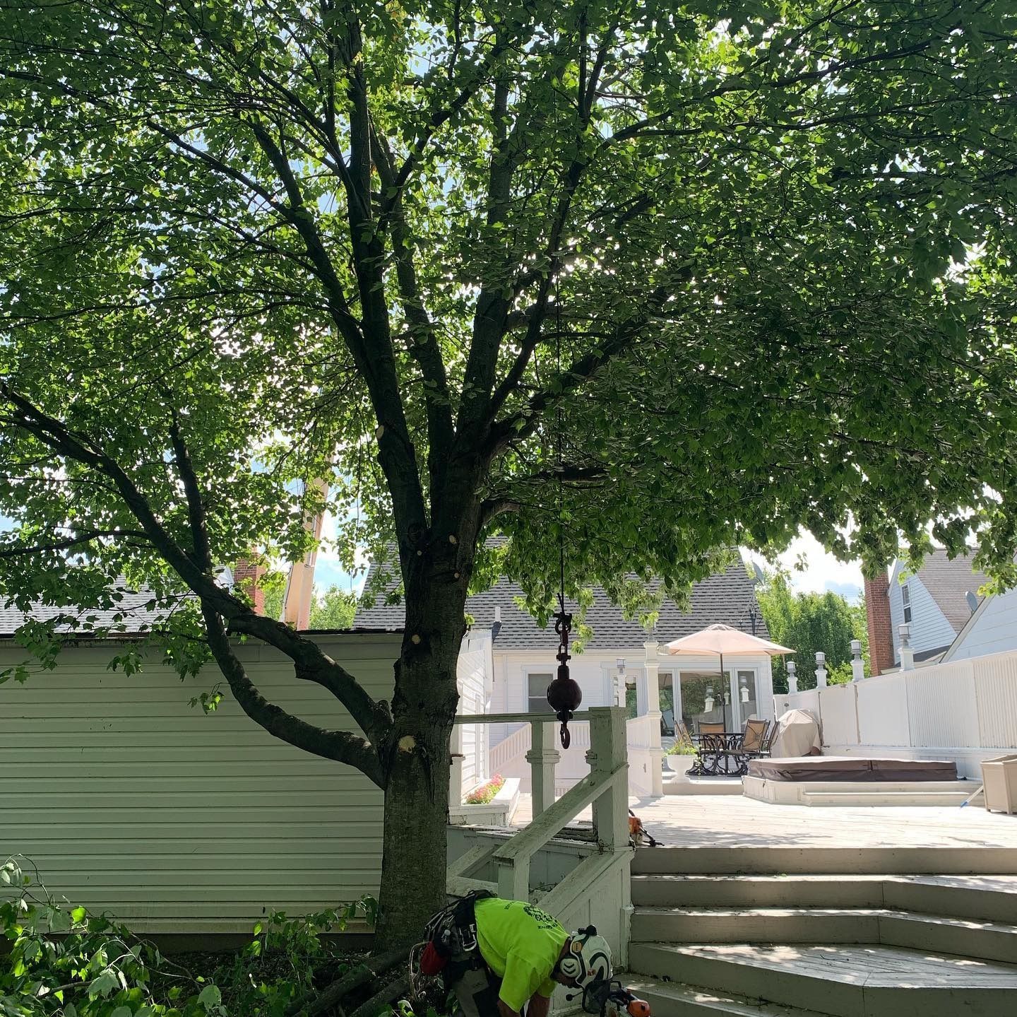 A worker in a bright yellow vest prunes a large tree in a backyard patio area with white stairs and a hot tub.