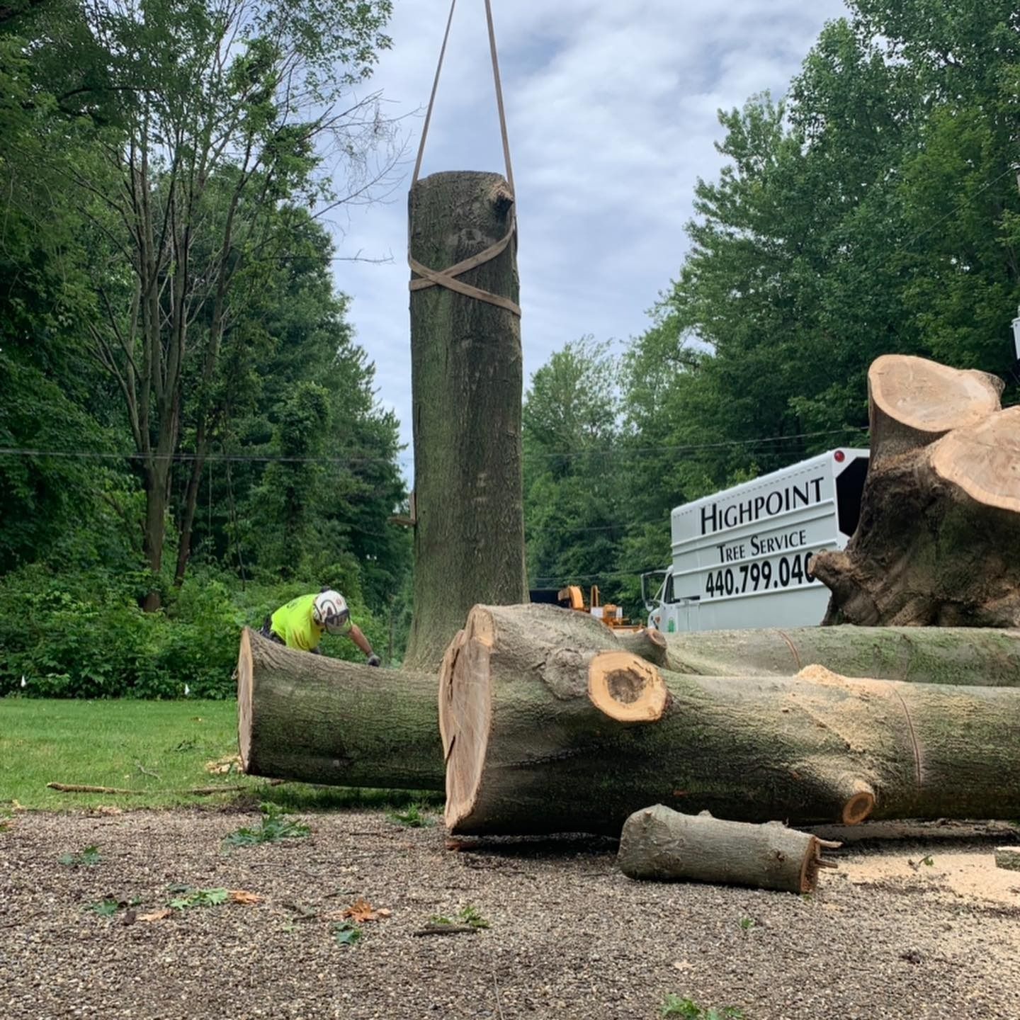 A worker in a high-visibility yellow shirt stands near large felled tree logs as one is lifted by a crane.