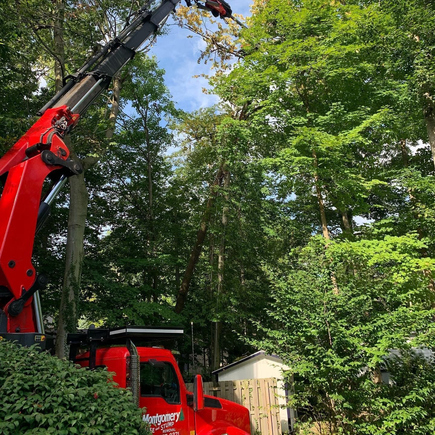 A bright red utility crane extending toward tall, green trees in a residential setting.