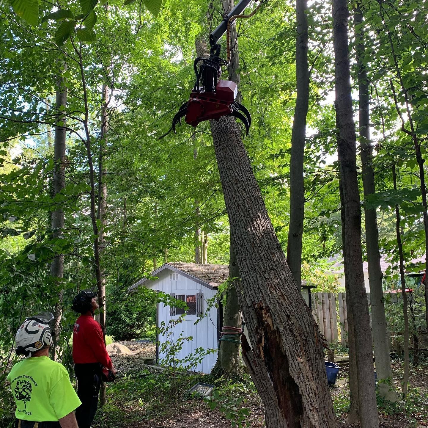 A tree service operator uses a crane-mounted grapple to remove a damaged tree near a white shed in a wooded area.