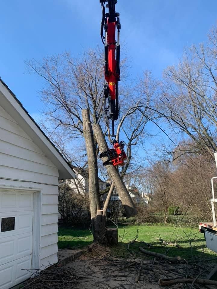 A red grapple crane removes a section of a tree trunk near a white garage on a sunny day.