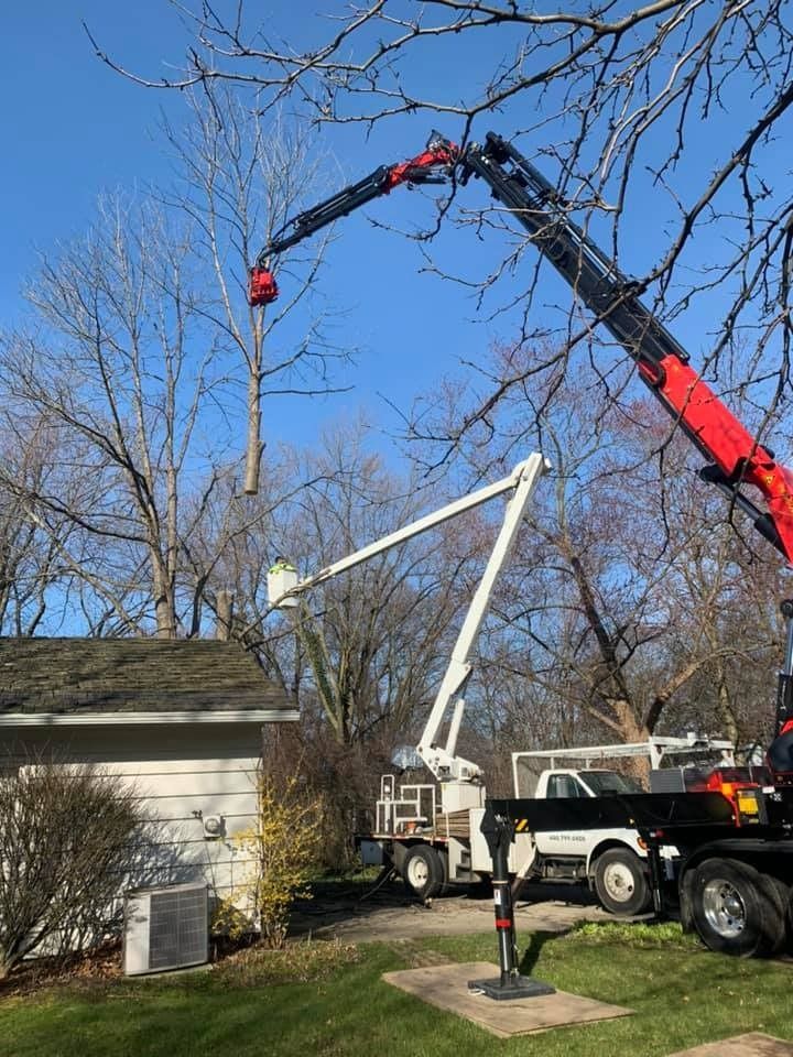 A red crane lifts a tree limb over a house, assisted by a bucket truck with a worker aloft.