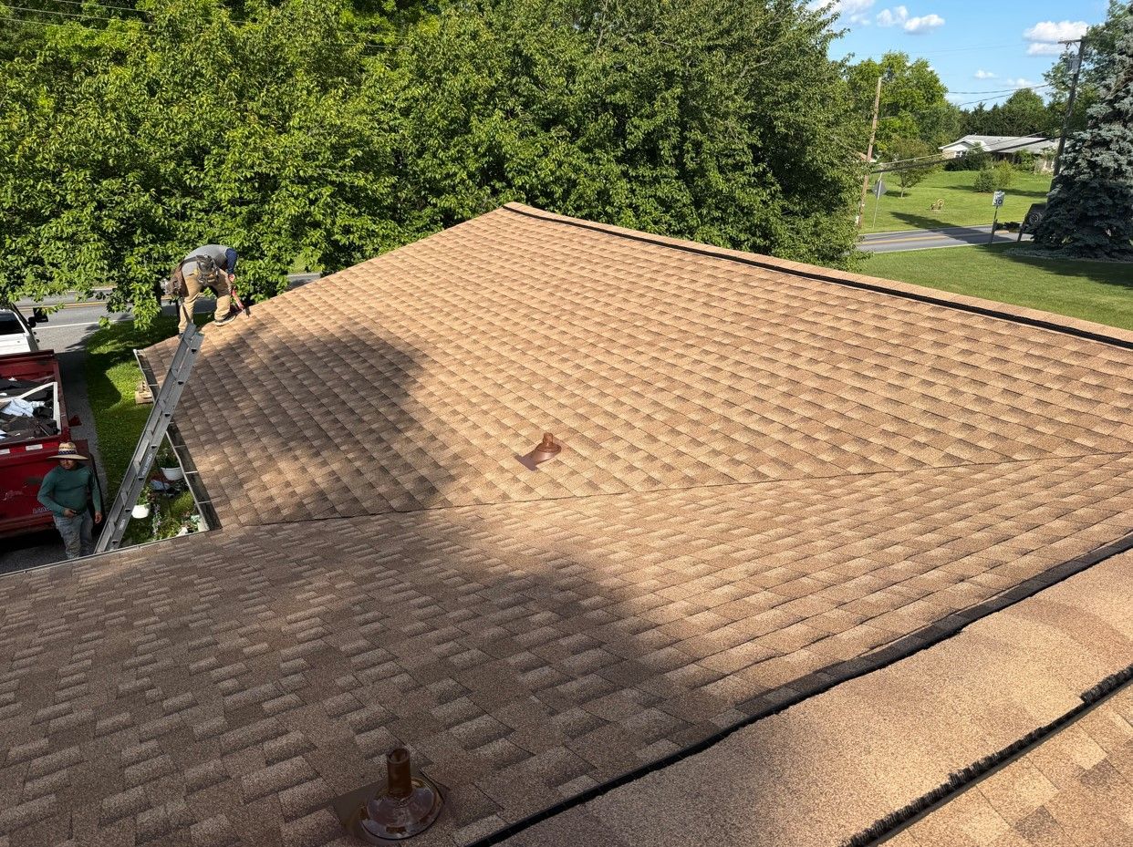 Tan shingled roof with a person on a ladder at the left edge, surrounded by trees and a residential yard.