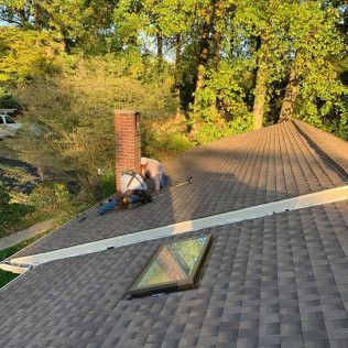 Roof with skylight and chimney beside trees in warm sunlight