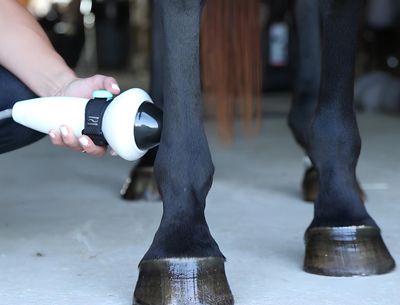 A person is using a device on a horse 's leg