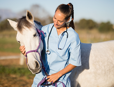 A female veterinarian is petting a white horse in a field.
