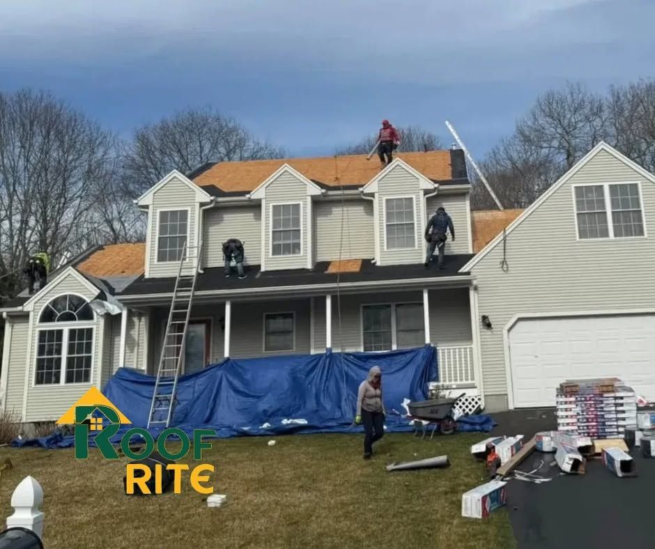 Workers roofing a gray two-story house; ladders, blue tarp, and shingles visible in front yard.