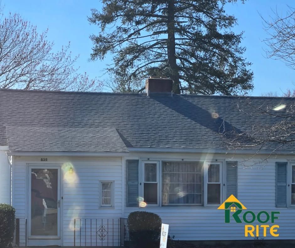 White single-story house with gray roof and large tree behind it