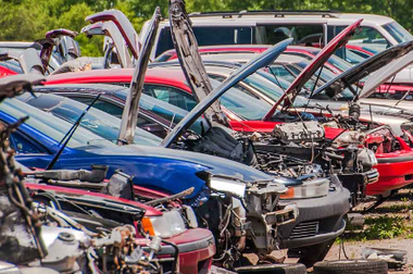 A bunch of cars are sitting in a junkyard with their hoods open.