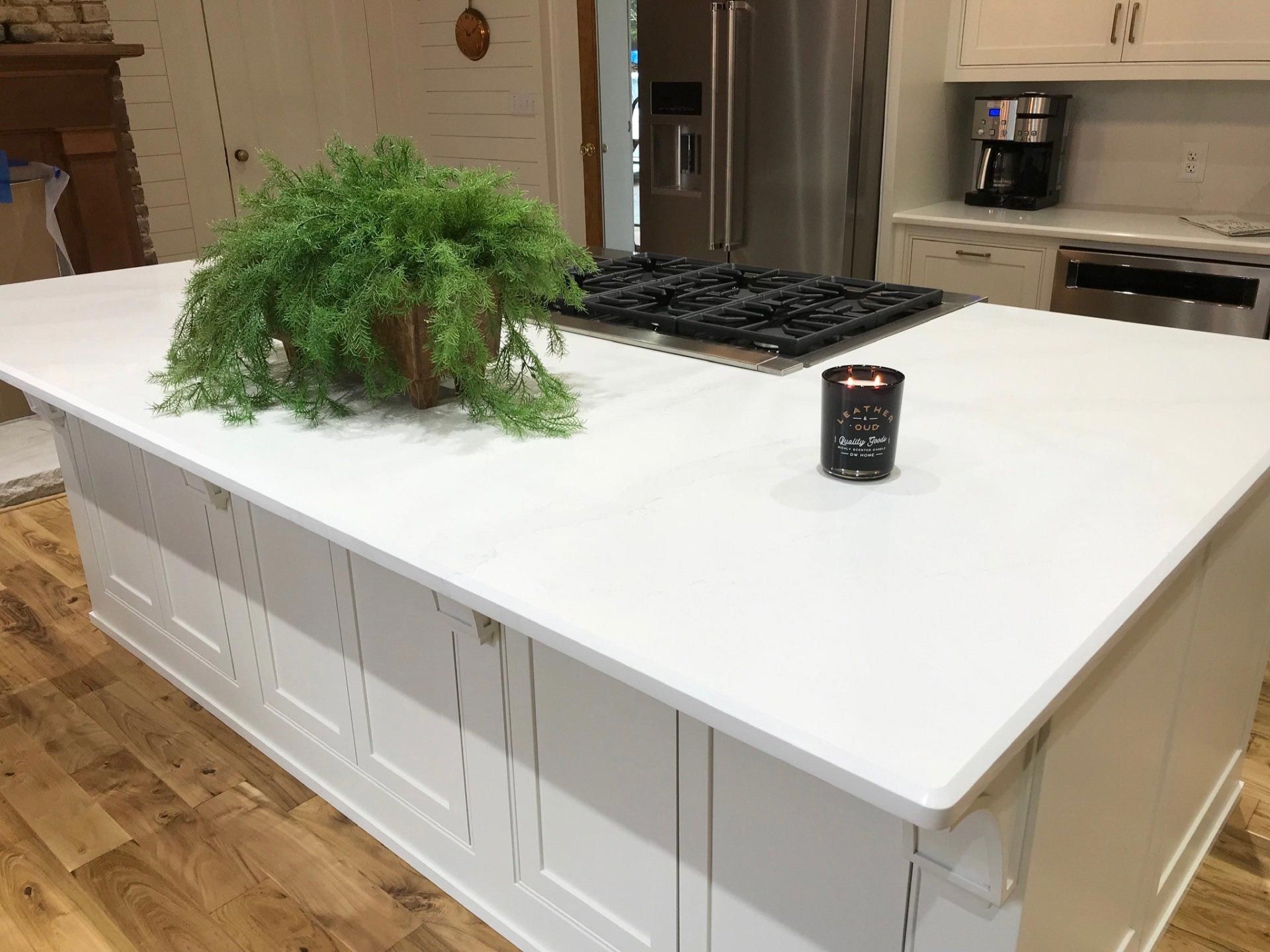 A kitchen island with a potted plant on top of it.