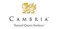 The logo for cambria natural quartz surfaces has a dragon on it.