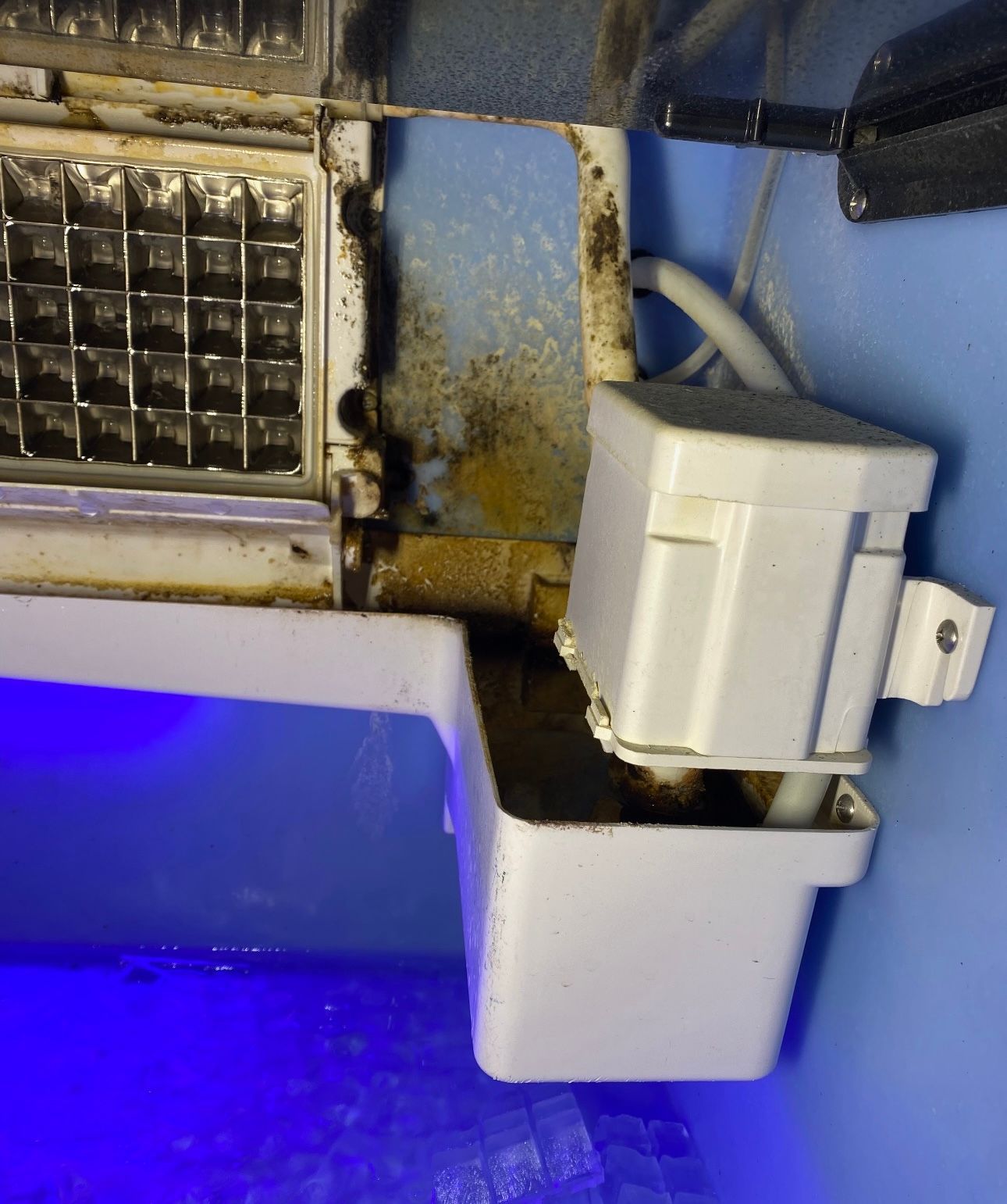 a white container with a blue light behind it