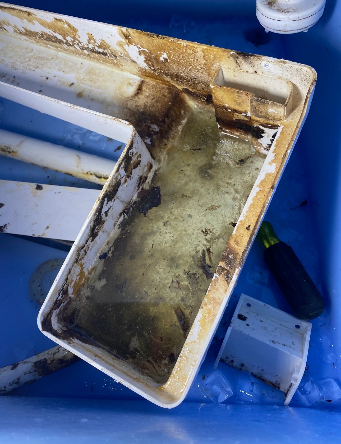 a dirty container with a screwdriver in it