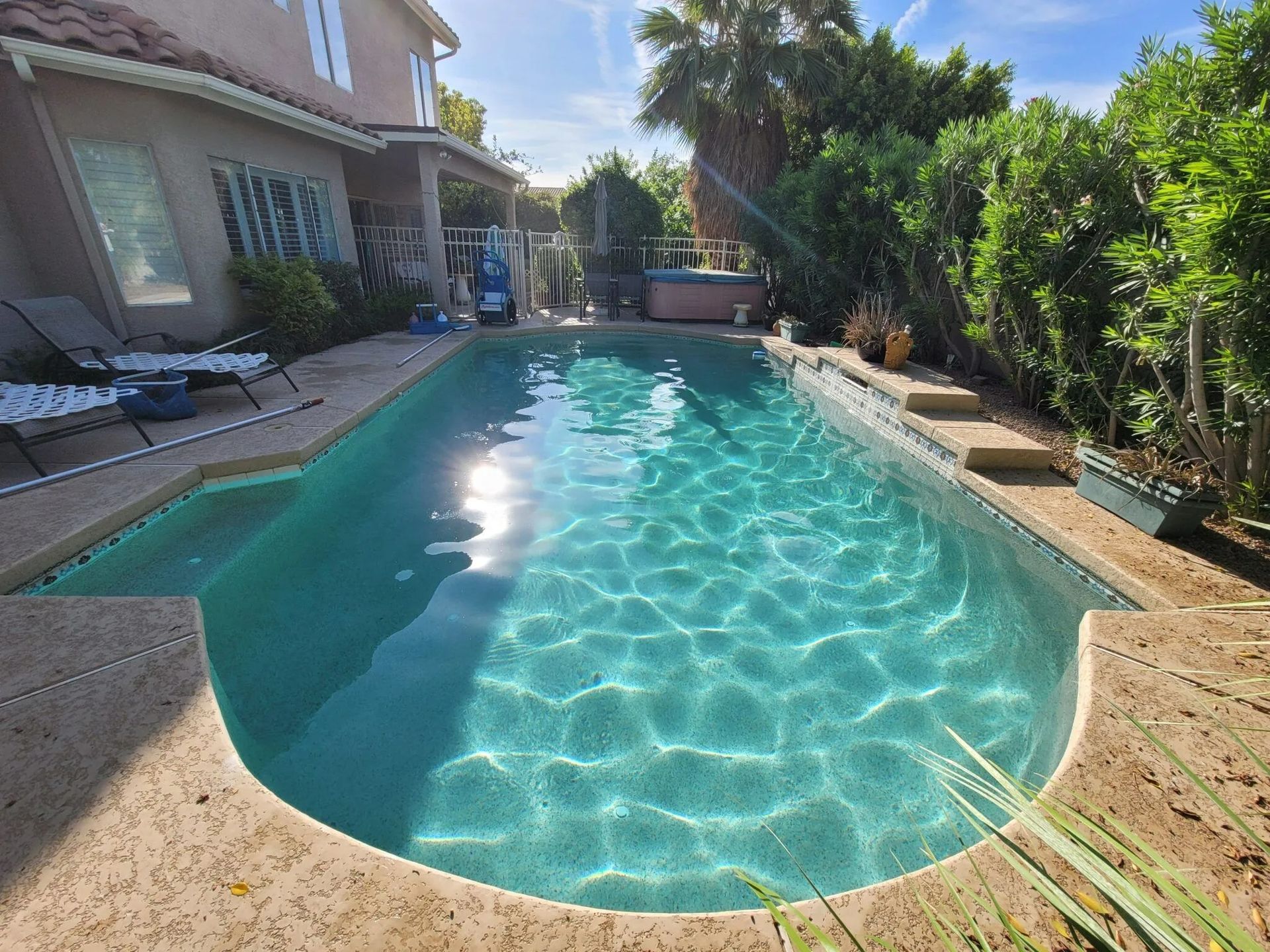 Swimming pool in a backyard, surrounded by landscaping, with a house visible in the background.