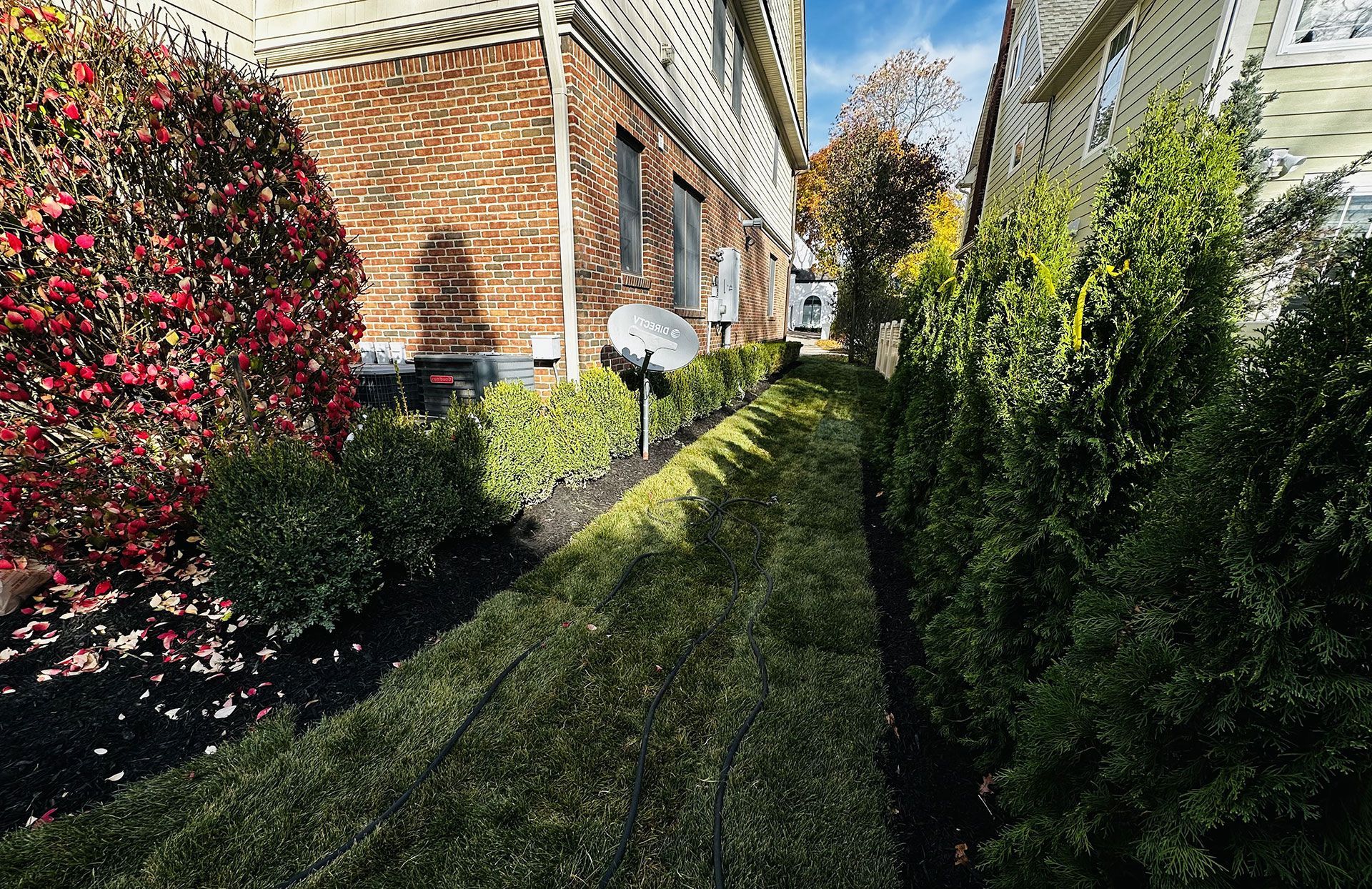 Narrow walkway between two buildings, bordered by shrubbery. Brick wall on one side, green bushes on the other.