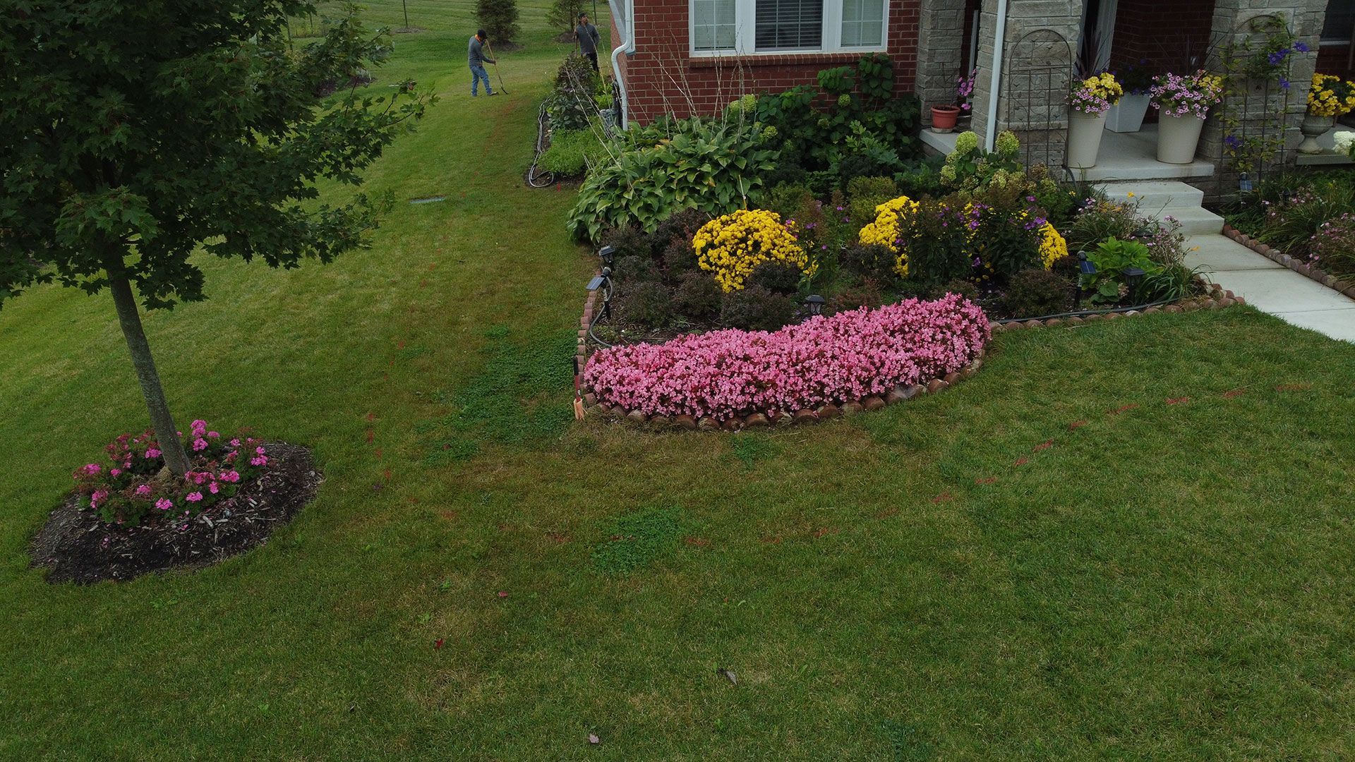 Lush green lawn with a vibrant flower bed in front of a brick house. Person walks in the distance.