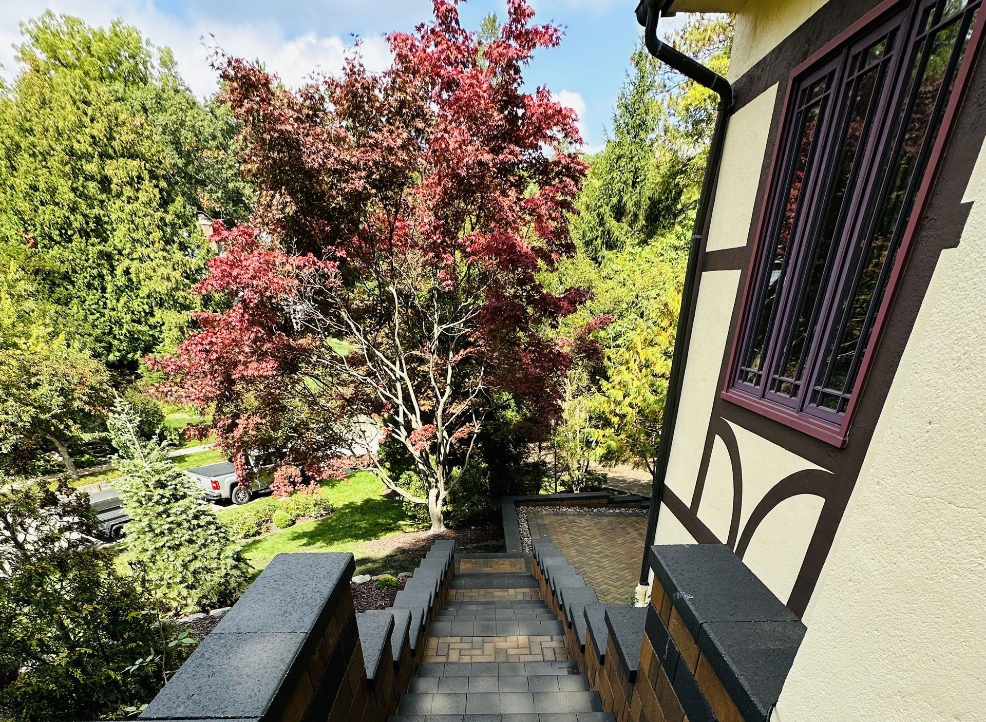 Stone steps leading down, bordered by railings, with a colorful tree and house exterior visible.
