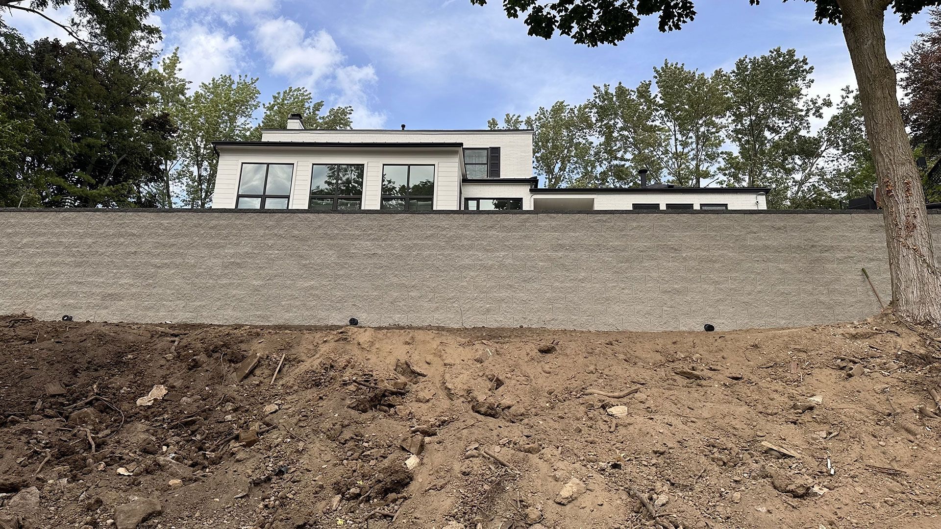 Modern white house atop a retaining wall, viewed from below with exposed soil. Trees frame the sky.