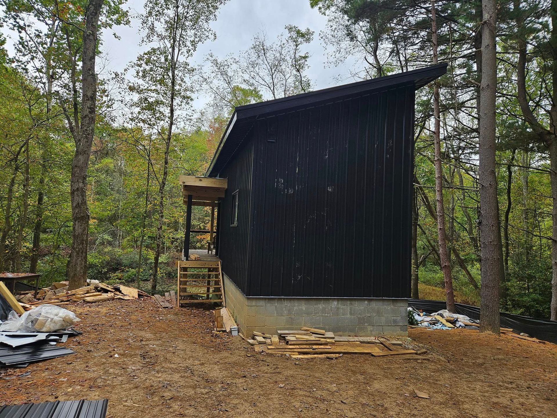 A small black shed is sitting in the middle of a forest.
