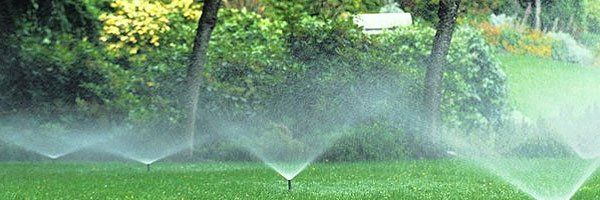 Commercial Sprinkler Services
