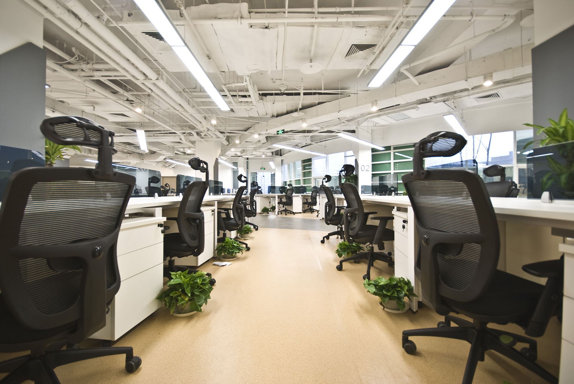 Empty open-plan office with desks, black office chairs, and overhead lighting.
