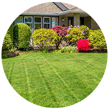 Learn More About Landscape Care Landscape and lawn care