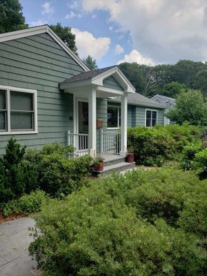 Green house with small porch, surrounded by dense green bushes, blue sky.
