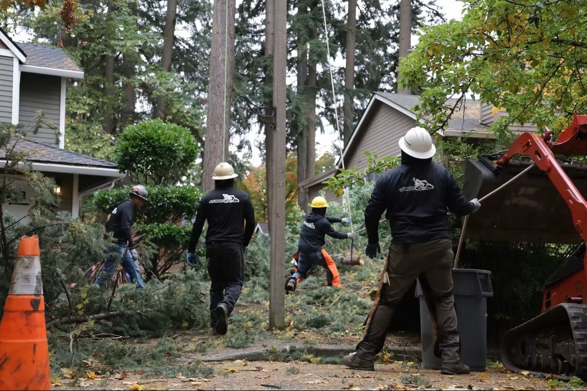 Workers in hard hats clearing fallen branches in a residential yard with a small excavator