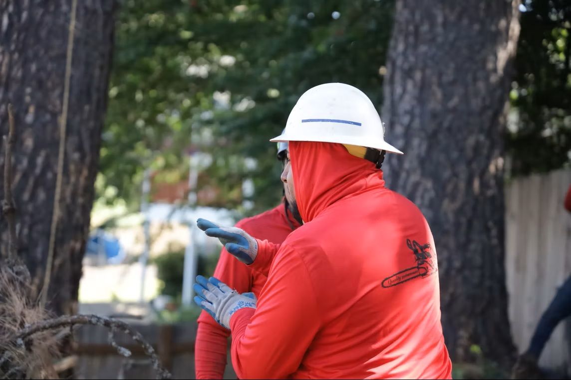 Worker in a red jacket and white hard hat points while standing outdoors near trees.