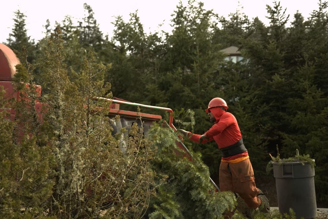 Worker in orange hard hat trimming bushes with a hedge trimmer near trees outdoors