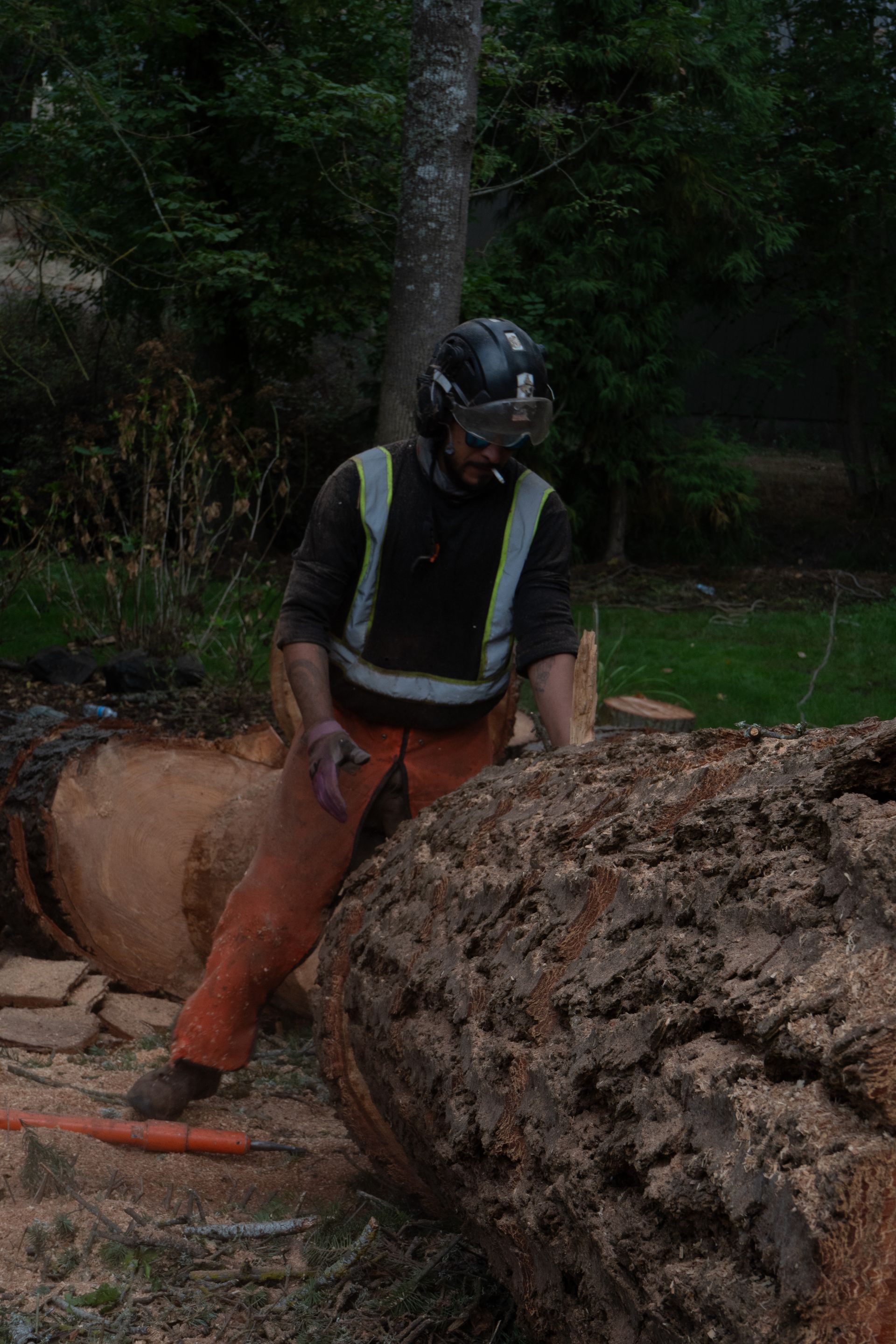 Worker in helmet and reflective vest stands beside a large fallen tree trunk in a wooded area.