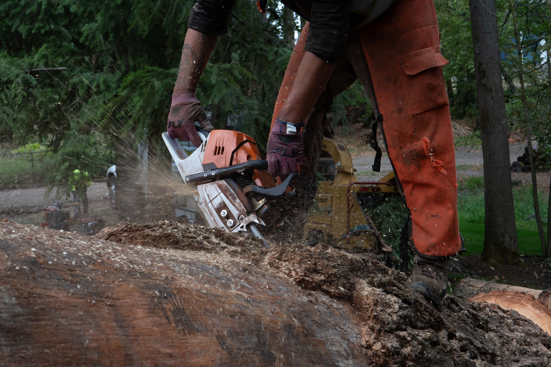 Person cutting a tree trunk with a chainsaw, sending wood chips flying outdoors.