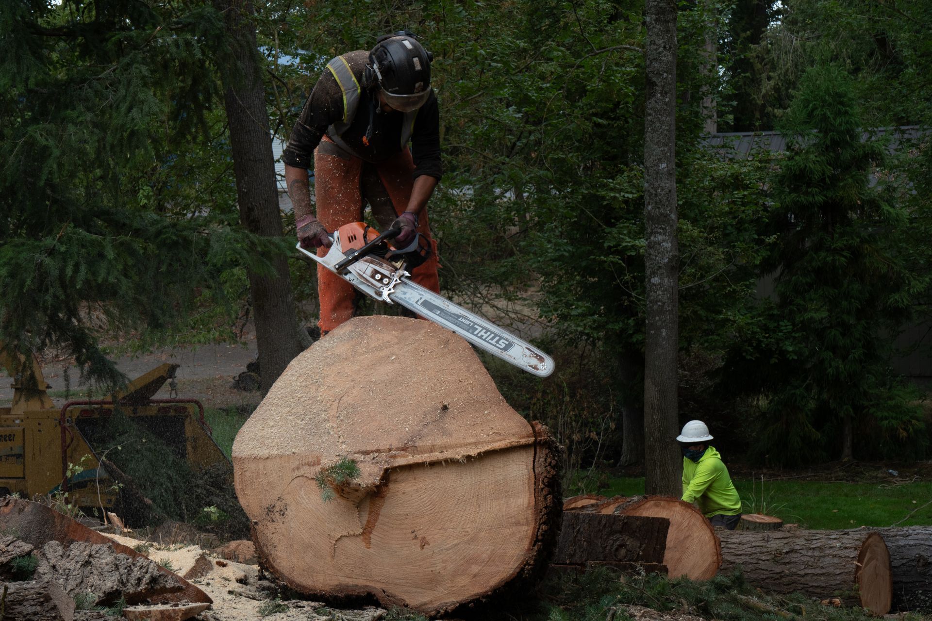 Person cutting a huge log with a chainsaw while another in a hard hat watches nearby in a forest.