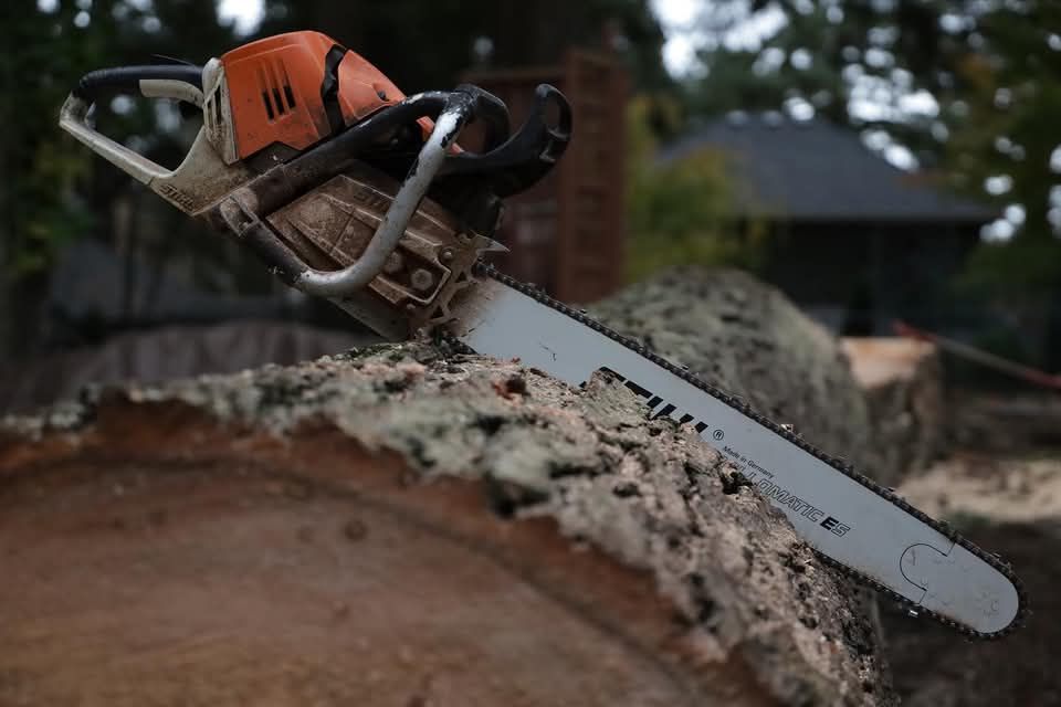 Orange chainsaw cutting through a dirt log, with wood chips flying outdoors.