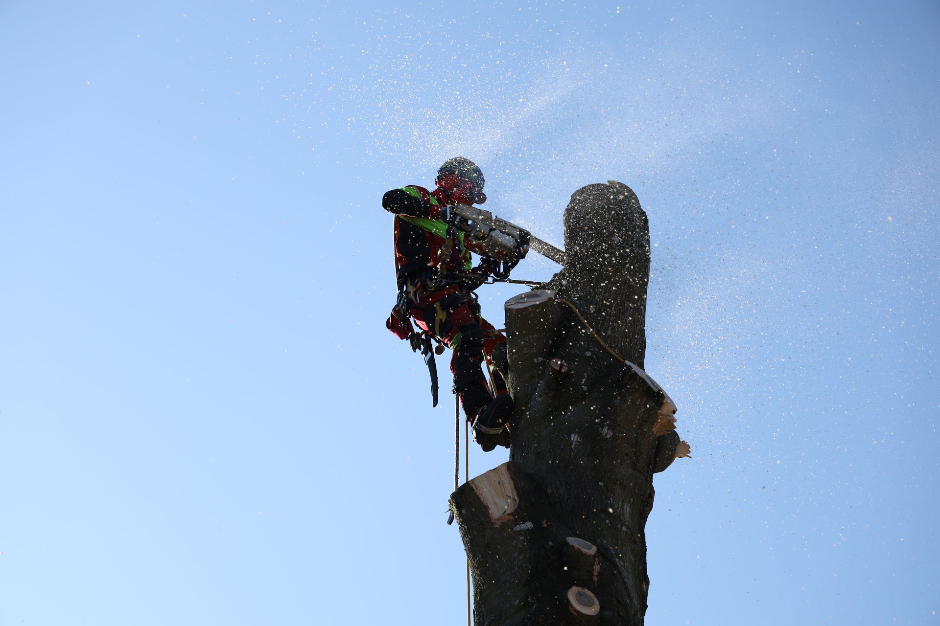 Climber ascending a rock face against a clear blue sky, secured with climbing gear
