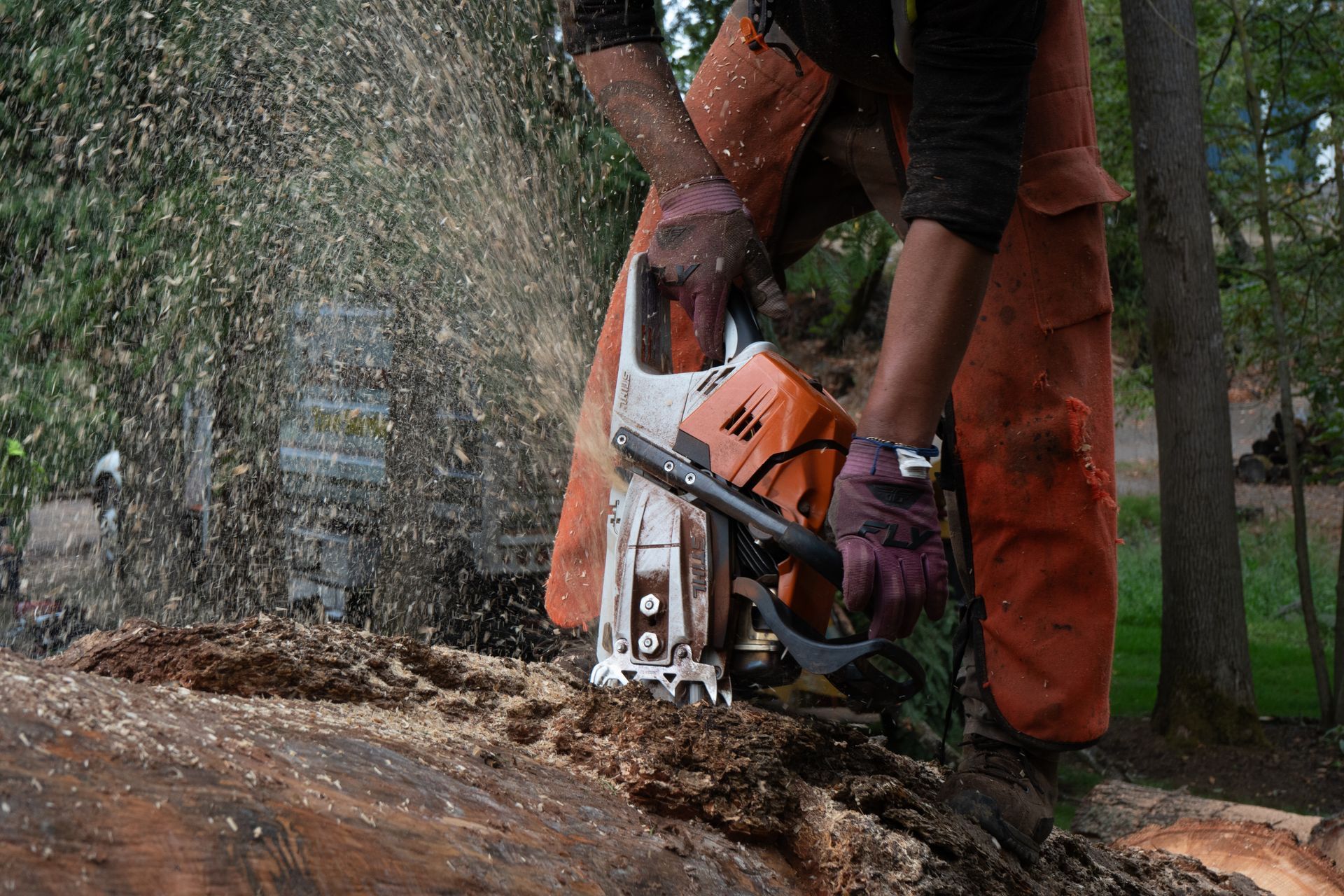 Worker using a chainsaw to cut a tree trunk in a wooded area