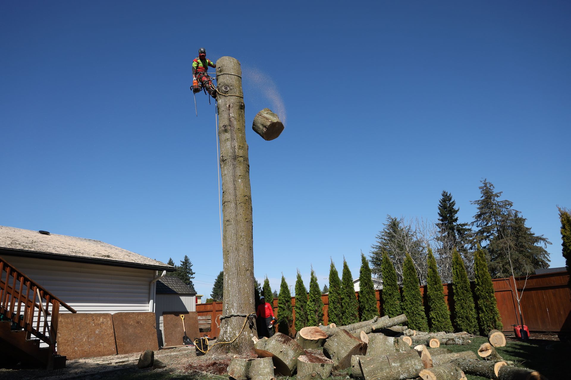 Tall carved log with a person perched on top and a hanging ball, outdoors by a house under blue sky