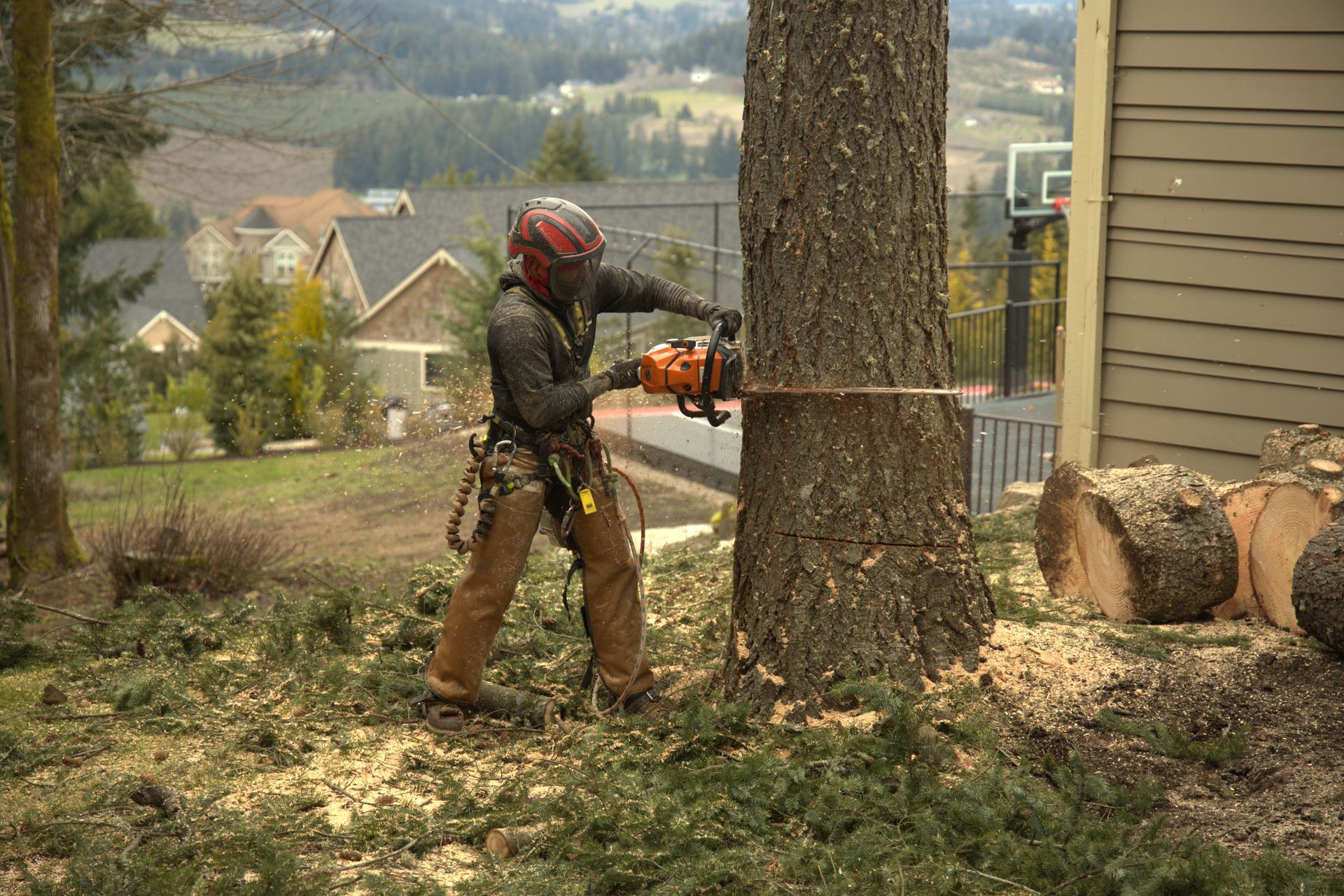 Person using a chainsaw to cut a tree trunk in a yard with logs and a house nearby