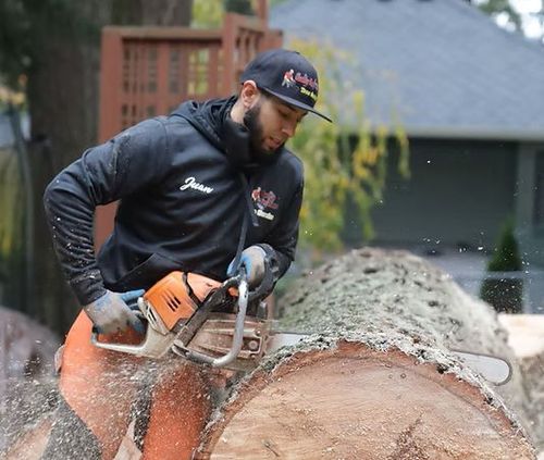 Quality Performance Tree Service, LLC