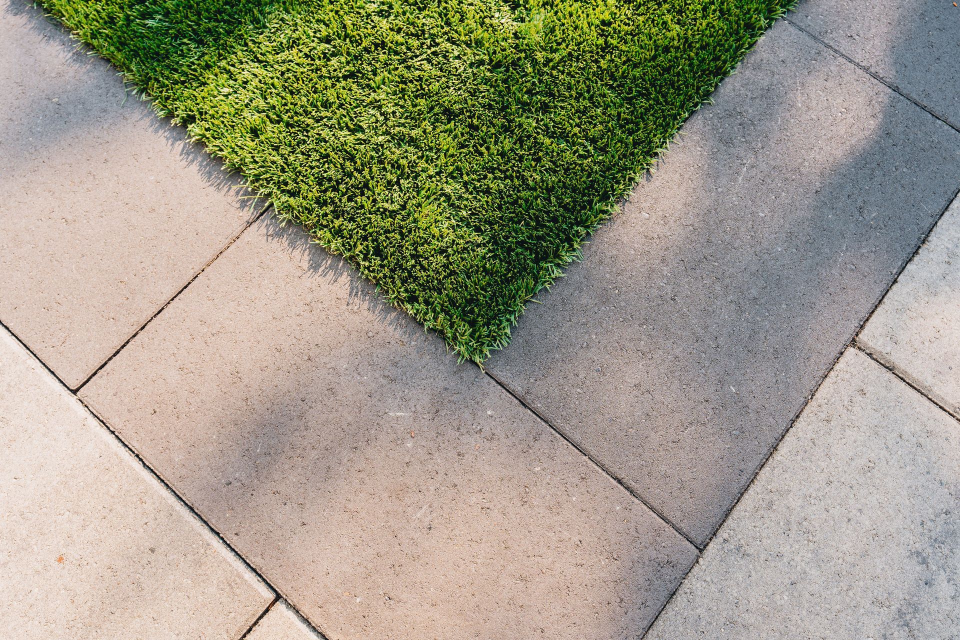 A neat grass view of the Le project